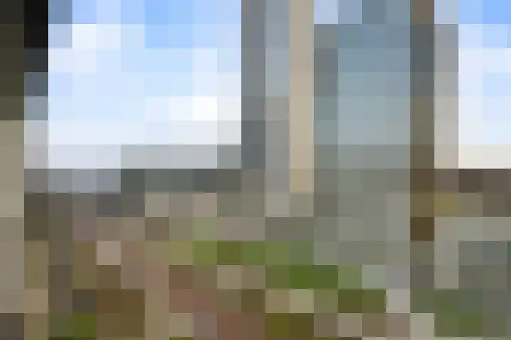 Gedempte Zalmhaven 963 Rotterdam thumbnail 23