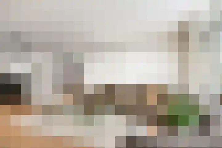 Gedempte Zalmhaven 963 Rotterdam thumbnail 4