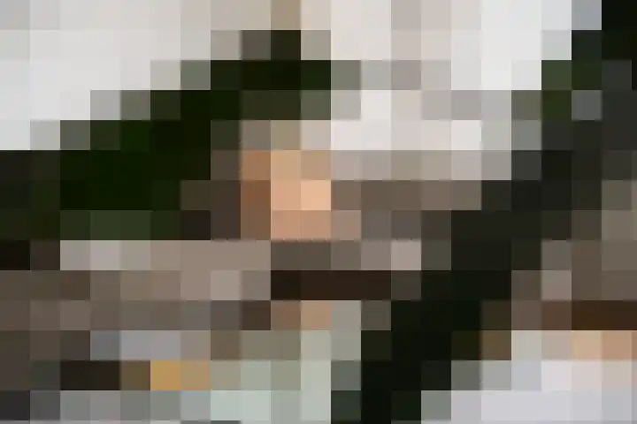 Gedempte Zalmhaven 963 Rotterdam thumbnail 6