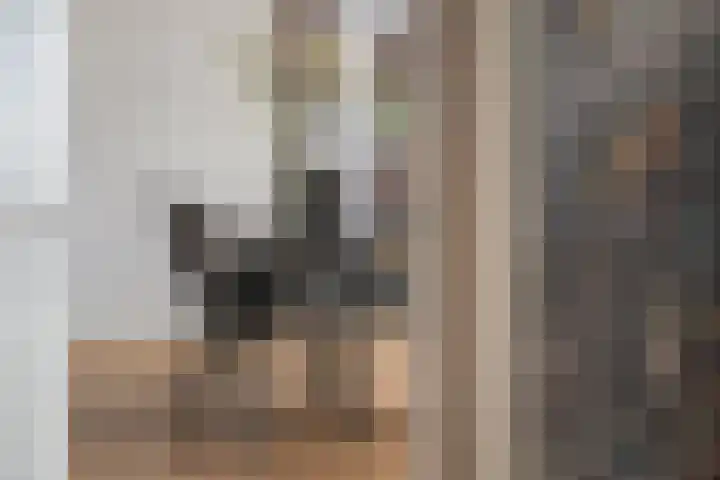 Gedempte Zalmhaven 963 Rotterdam thumbnail 8