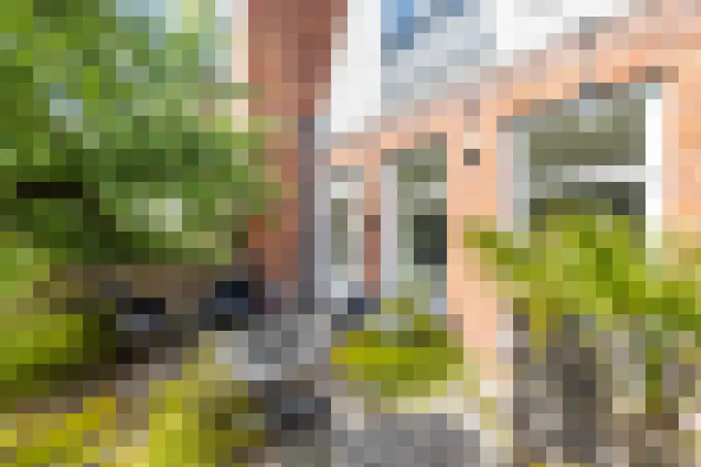Gedempte Zuiderdiep 108 Groningen thumbnail 40