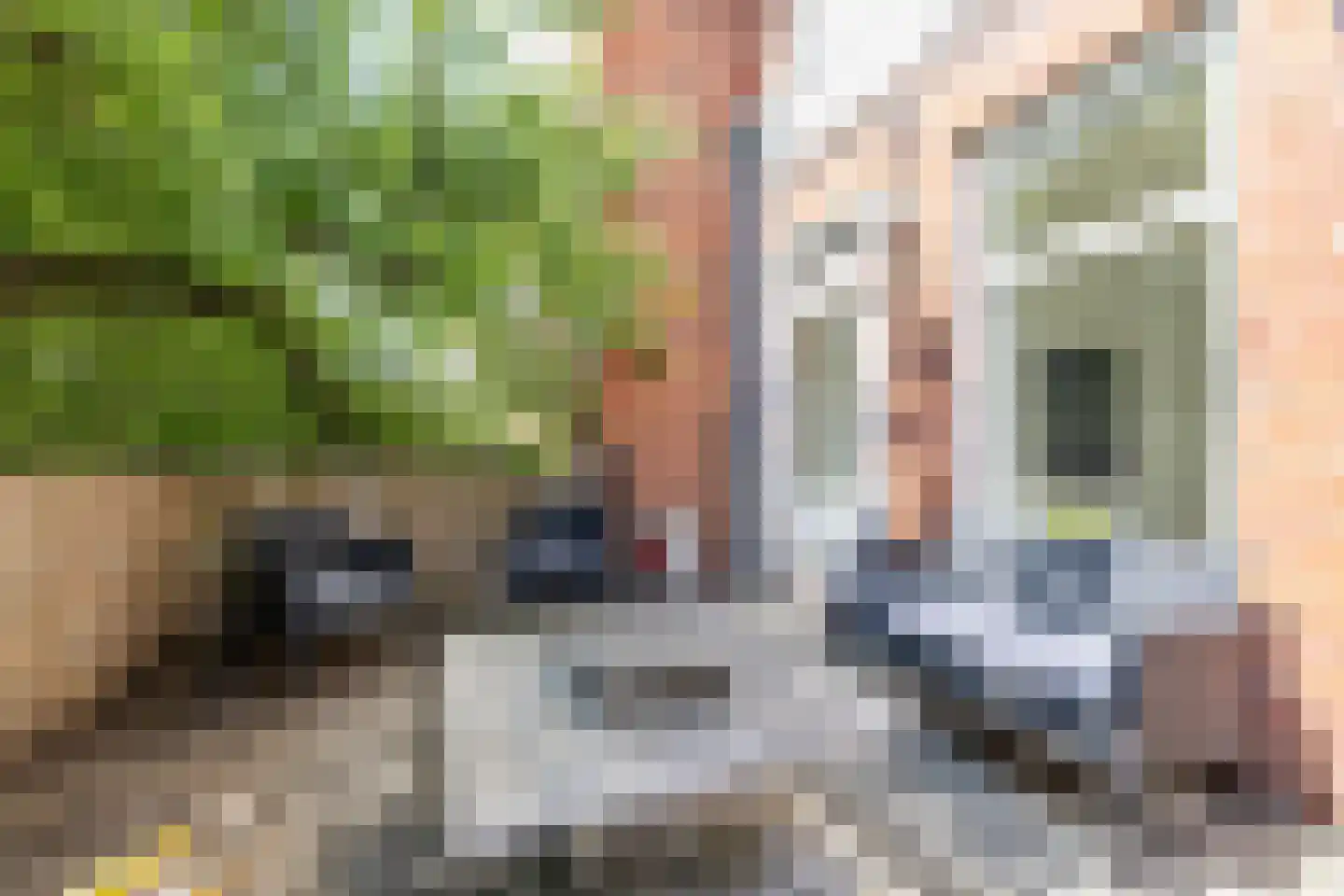 Gedempte Zuiderdiep 108 Groningen thumbnail 41
