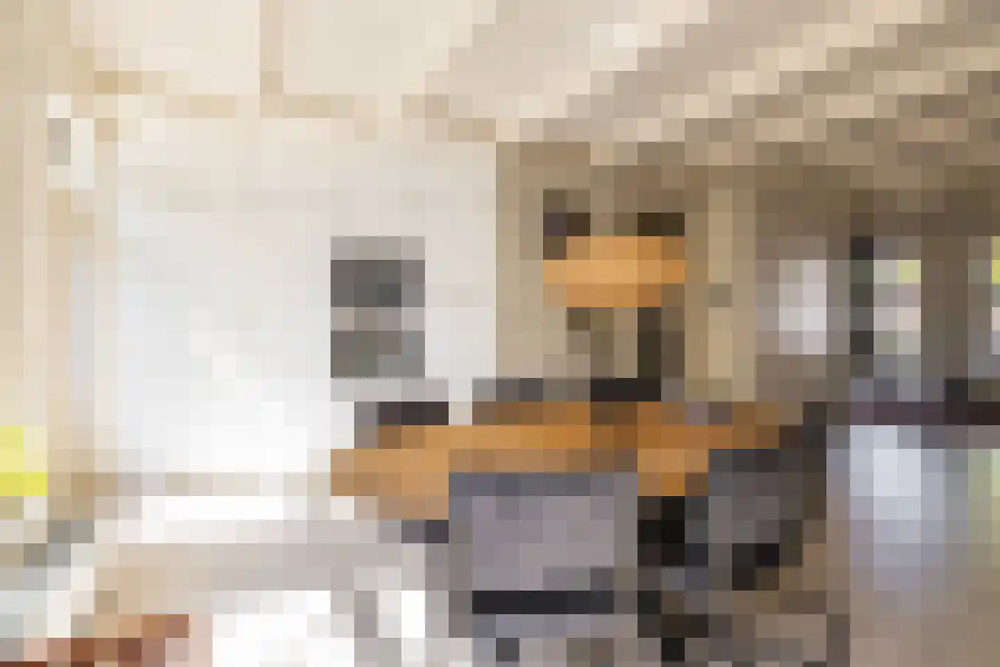 Gedempte Zuiderdiep 108 Groningen thumbnail 45