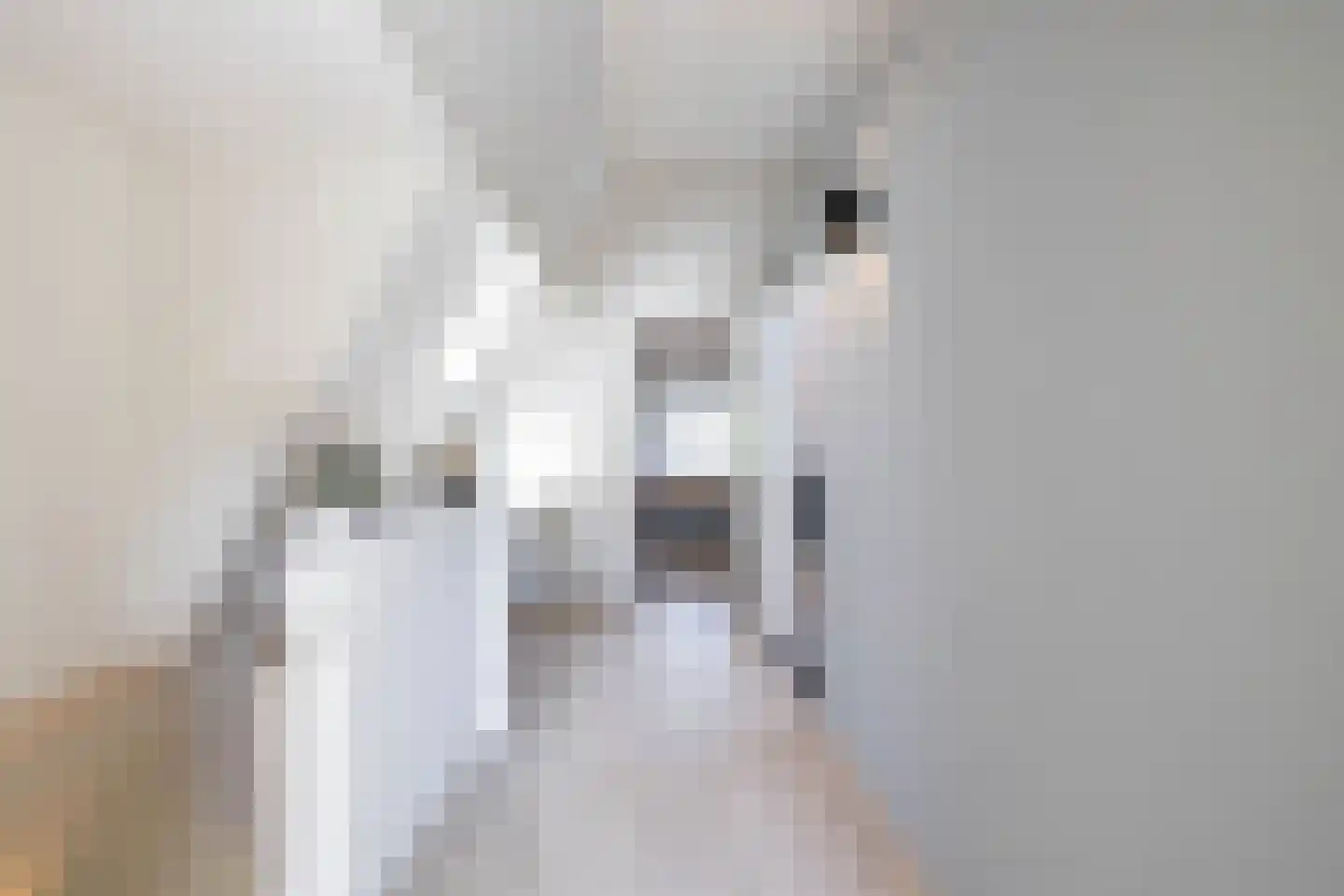 Gedempte Zuiderdiep 108 Groningen thumbnail 61