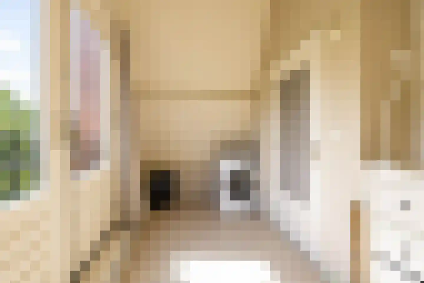 Gedempte Zuiderdiep 108 Groningen thumbnail 78