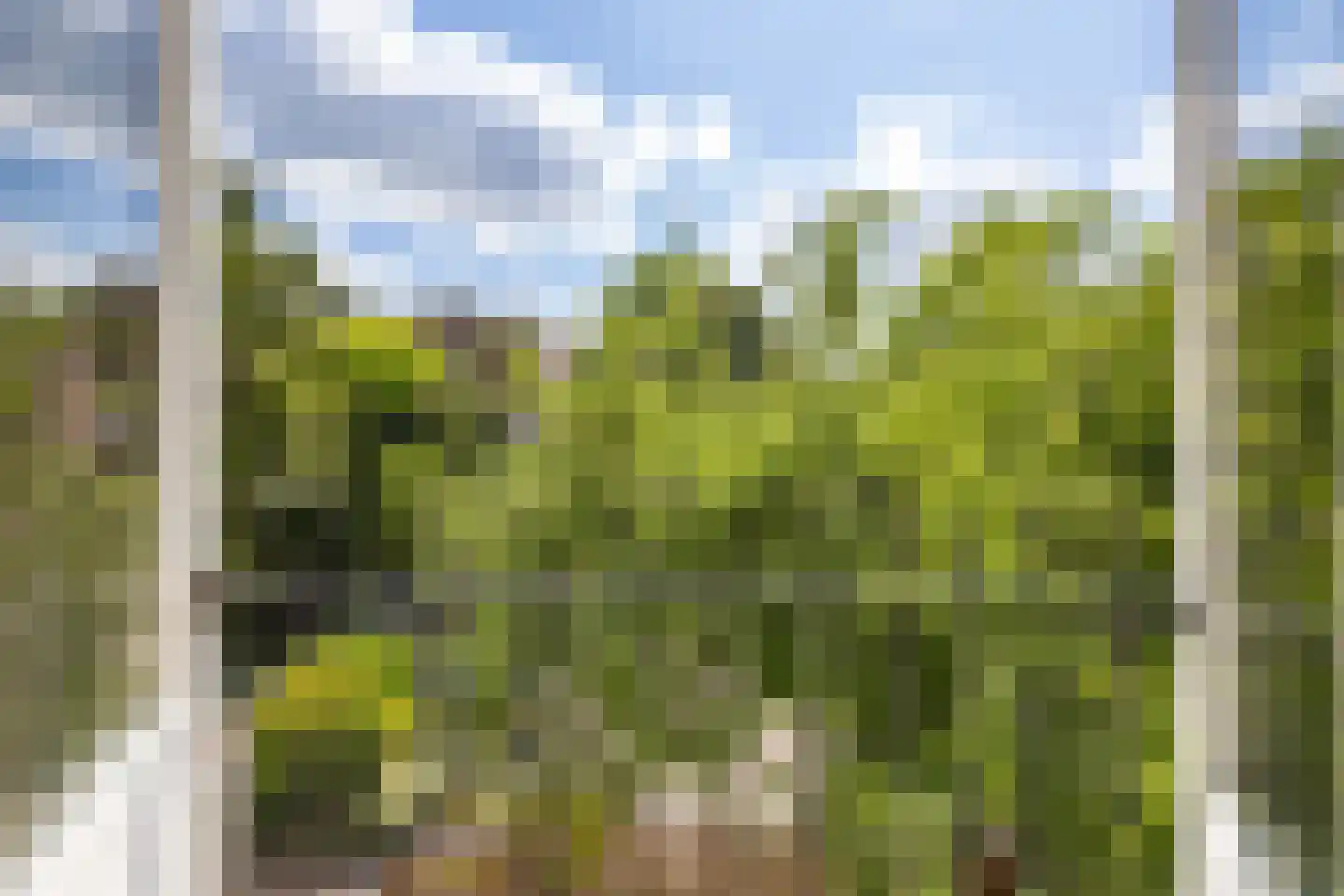 Gedempte Zuiderdiep 108 Groningen thumbnail 79