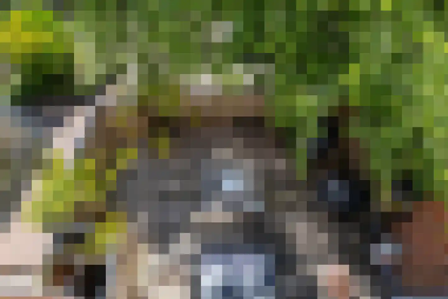 Gedempte Zuiderdiep 108 Groningen thumbnail 80