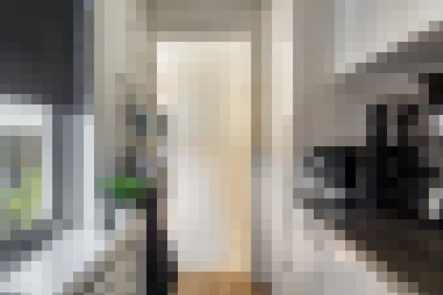 Gedempte Zuiderdiep 110 a Groningen thumbnail 20