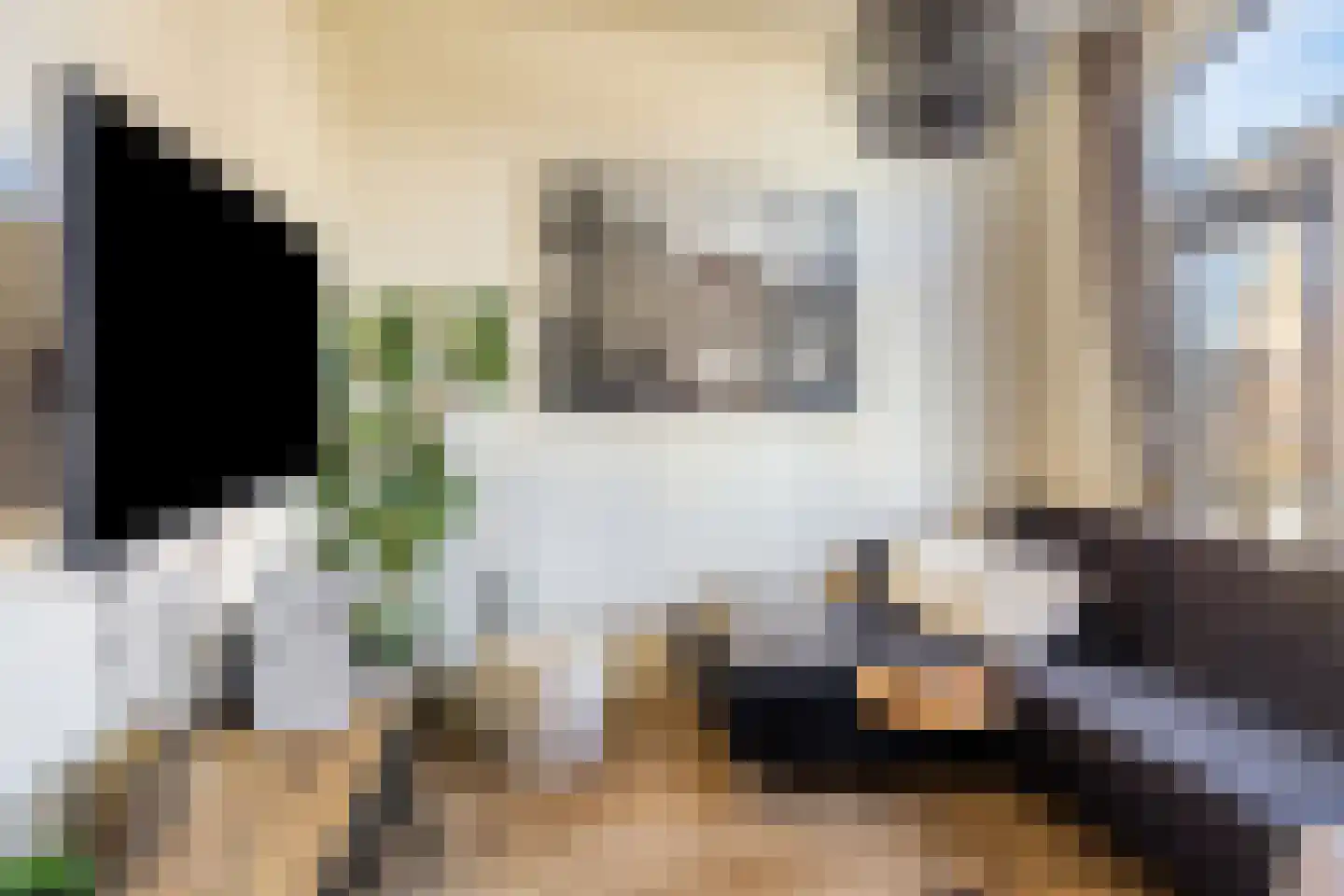Gedempte Zuiderdiep 110 a Groningen thumbnail 26