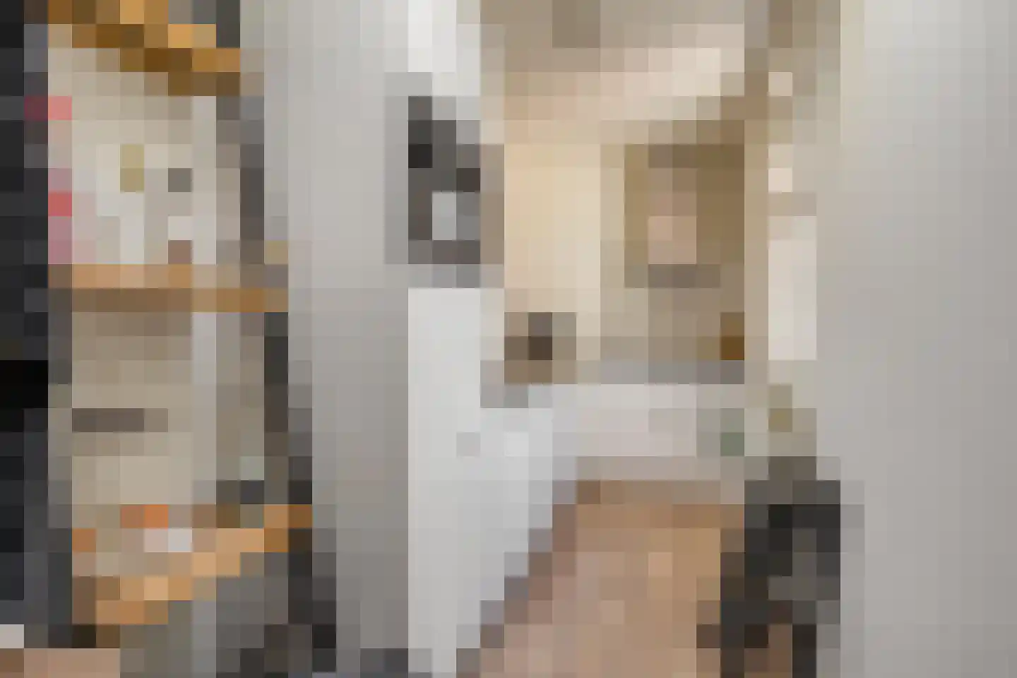 Gedempte Zuiderdiep 110 a Groningen thumbnail 34