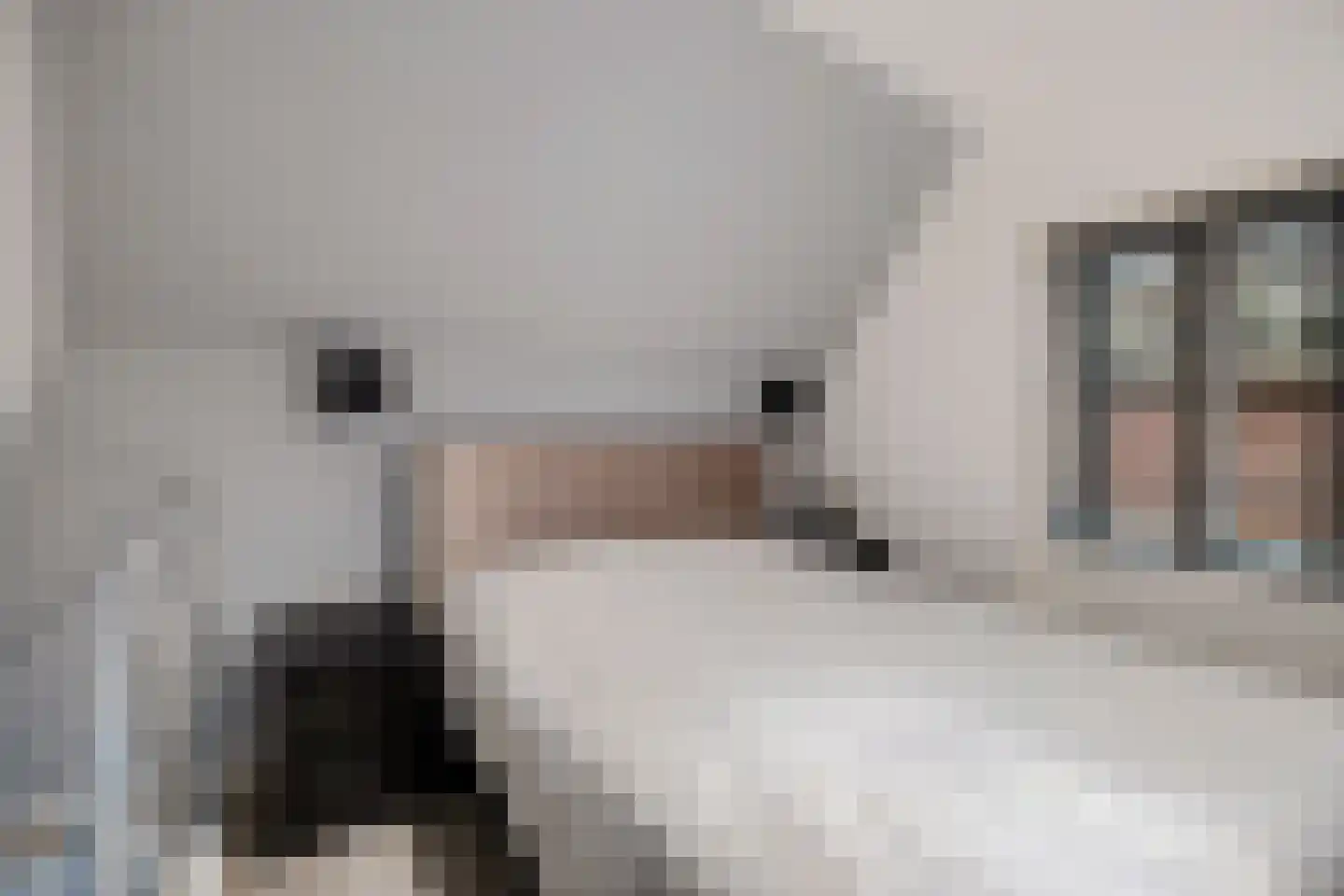 Gedempte Zuiderdiep 4 a Groningen thumbnail 21