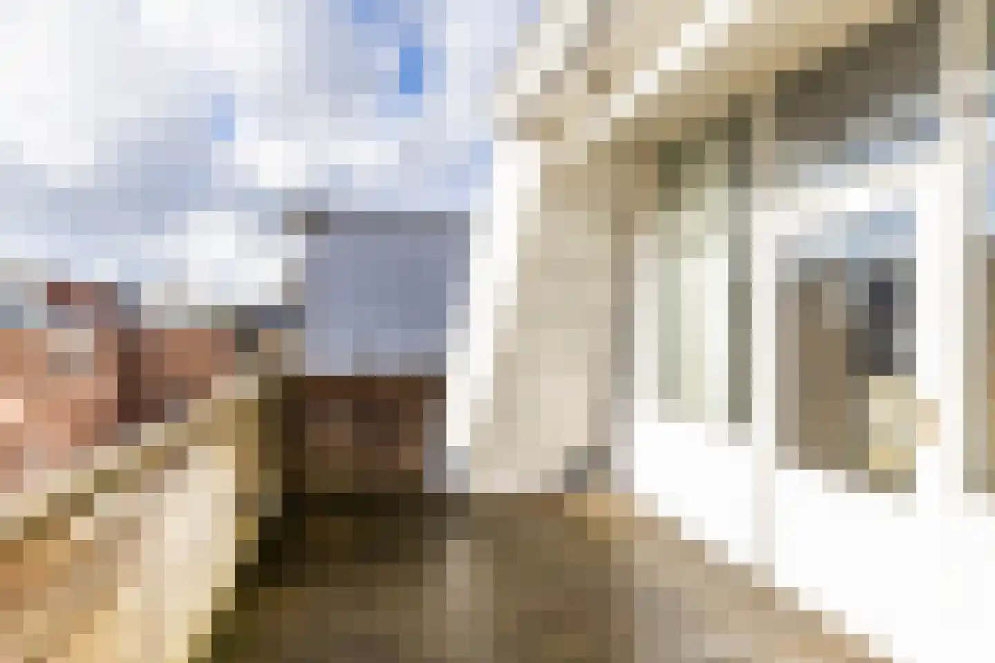 Gedempte Zuiderdiep 50 a Groningen thumbnail 31