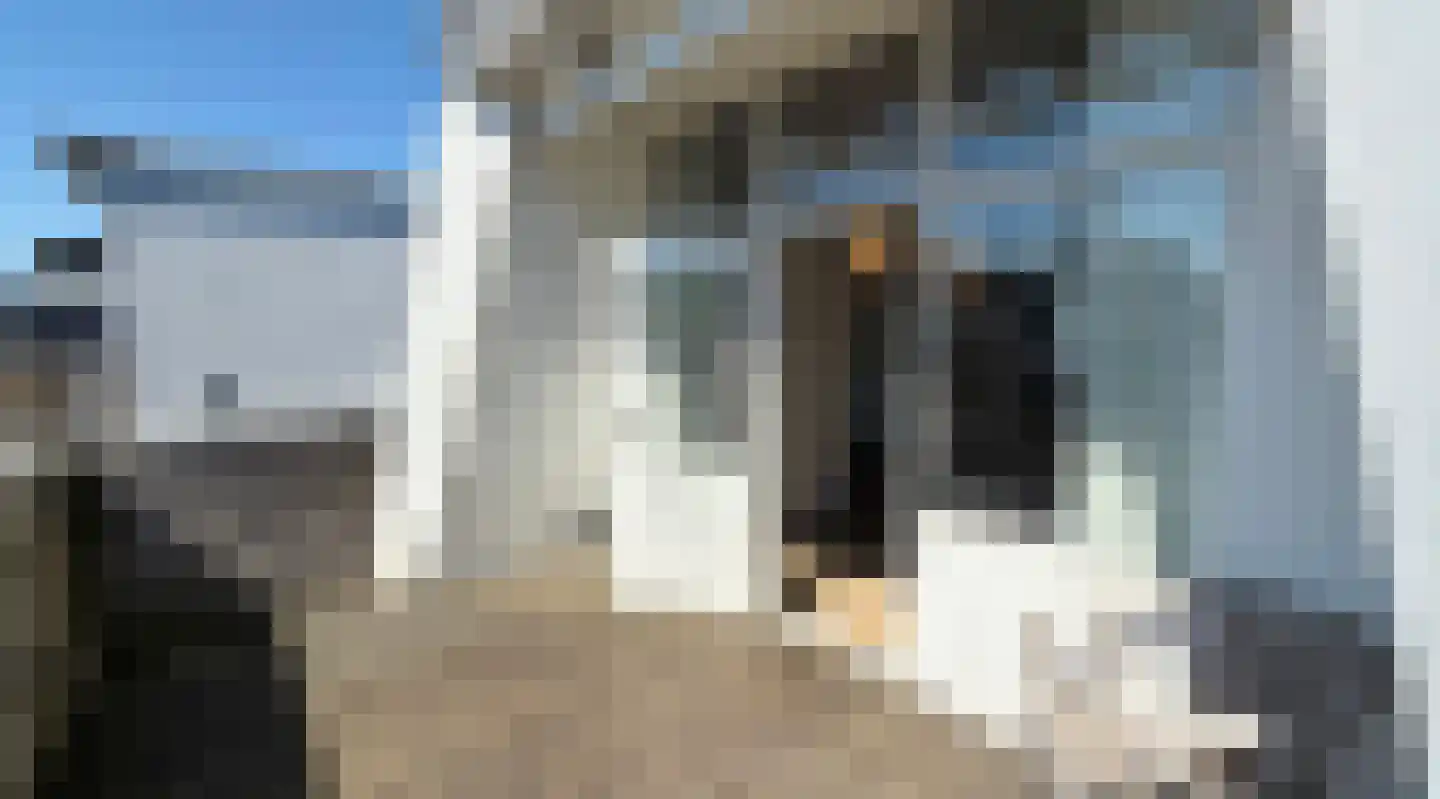 Gedempte Zuiderdiep 50 Groningen thumbnail 14