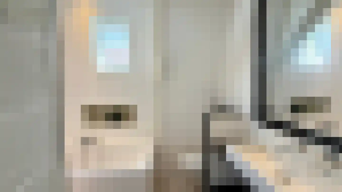 Gedempte Zuiderdiep 50 Groningen thumbnail 15