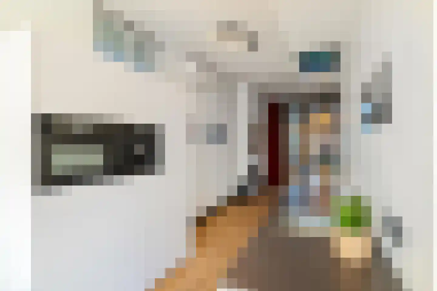 Gedempte Zuiderdiep 55 a Groningen thumbnail 8