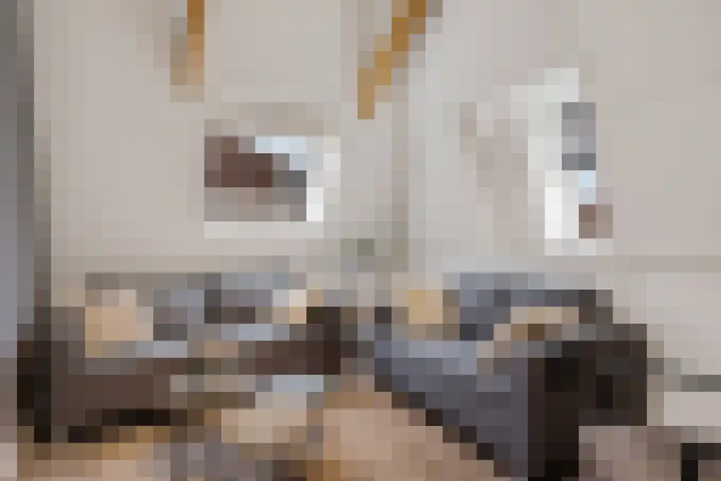 Gedempte Zuiderdiep 6 b Groningen thumbnail 12