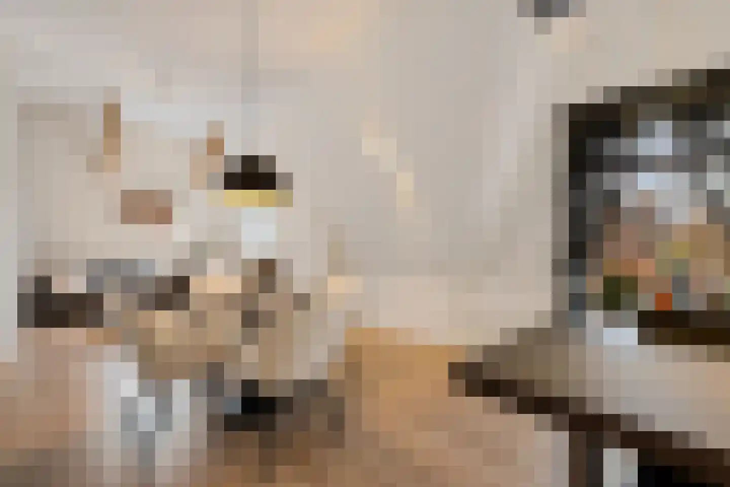 Gedempte Zuiderdiep 6 b Groningen thumbnail 13