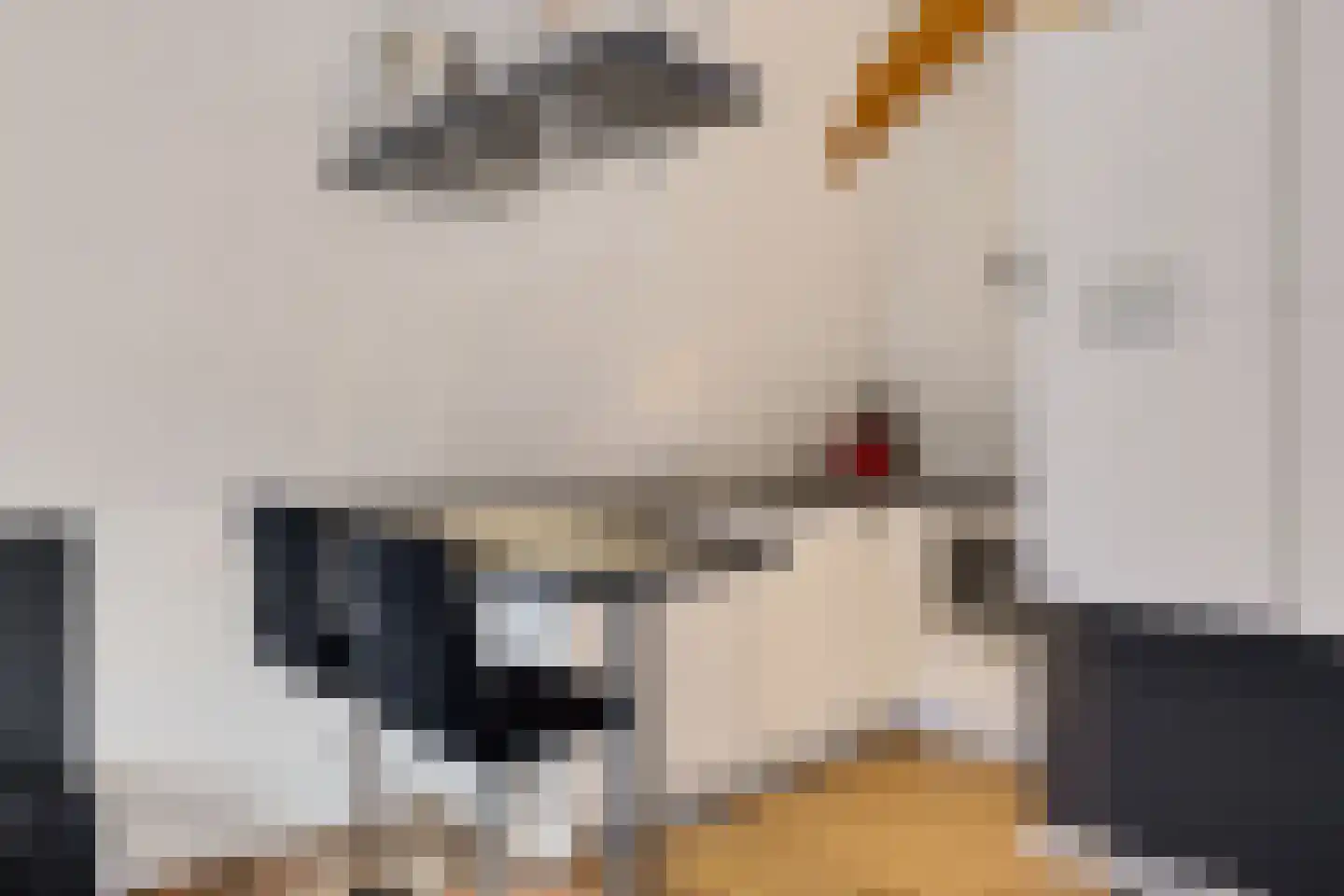 Gedempte Zuiderdiep 6 b Groningen thumbnail 15