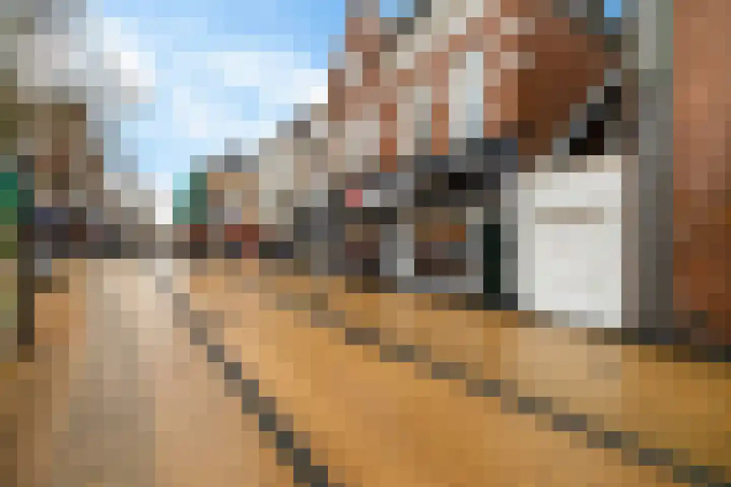 Gedempte Zuiderdiep 6 b Groningen thumbnail 23