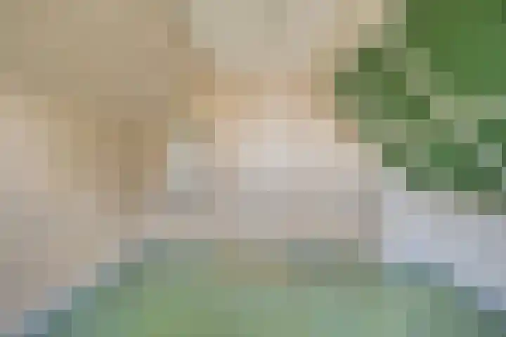 Gedempte Zuiderdiep 62 Groningen thumbnail 26