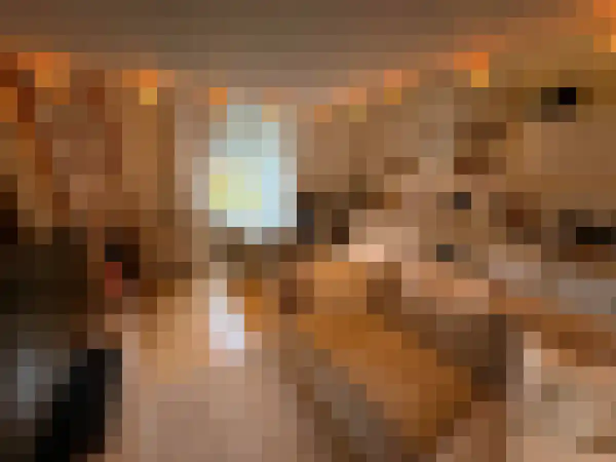 Gedempte Zuiderdiep Groningen thumbnail 4
