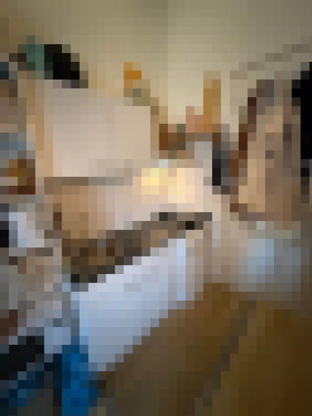 Gedempte Zuiderdiep Groningen thumbnail 5
