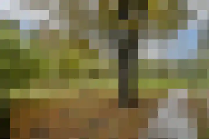 Gedenklaan 114 Gouda thumbnail 31