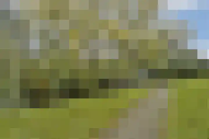 Gedenklaan 114 Gouda thumbnail 32