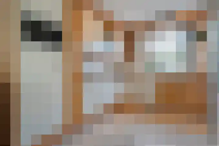 Gedeputeerdenlaan 92 Zwolle thumbnail 10