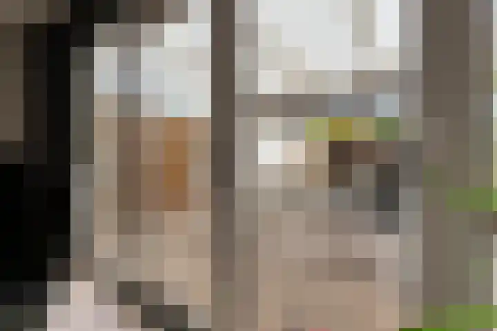 Gedeputeerdenlaan 92 Zwolle thumbnail 19