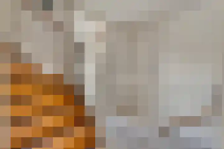 Gedeputeerdenlaan 92 Zwolle thumbnail 20