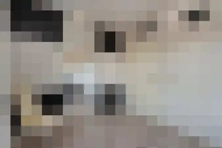 Gedeputeerdenlaan 92 Zwolle thumbnail 24