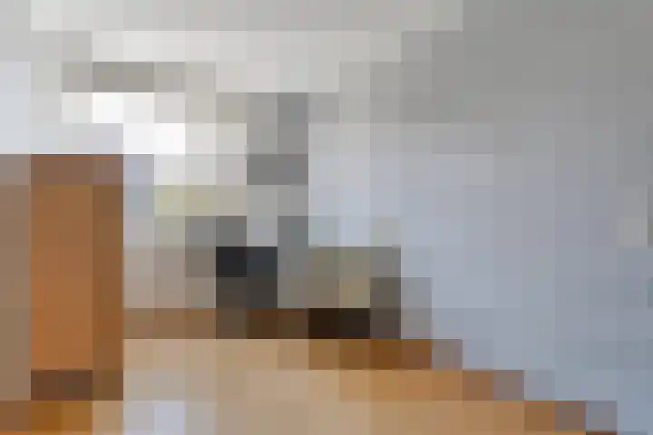 Gedeputeerdenlaan 92 Zwolle thumbnail 29