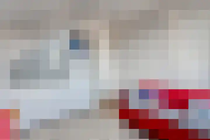 Gedeputeerdenlaan 92 Zwolle thumbnail 36