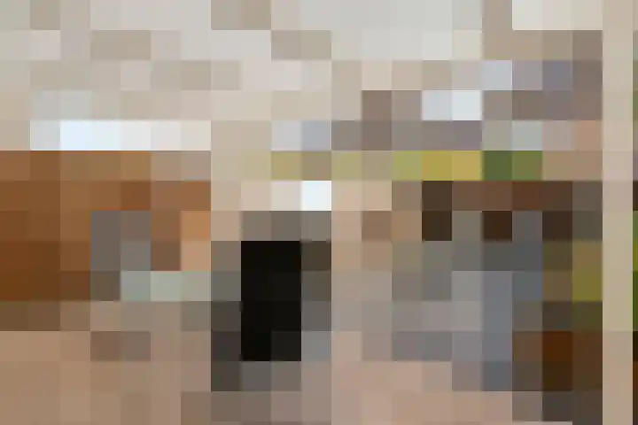 Gedeputeerdenlaan 92 Zwolle thumbnail 39