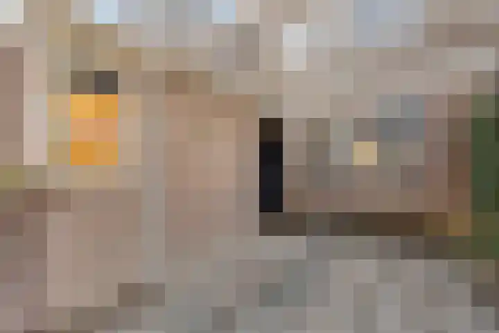 Gedeputeerdenlaan 92 Zwolle thumbnail 4