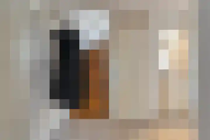 Gedeputeerdenlaan 92 Zwolle thumbnail 9