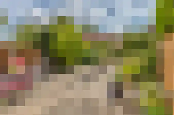 Gedserpad 36 Rotterdam thumbnail 13