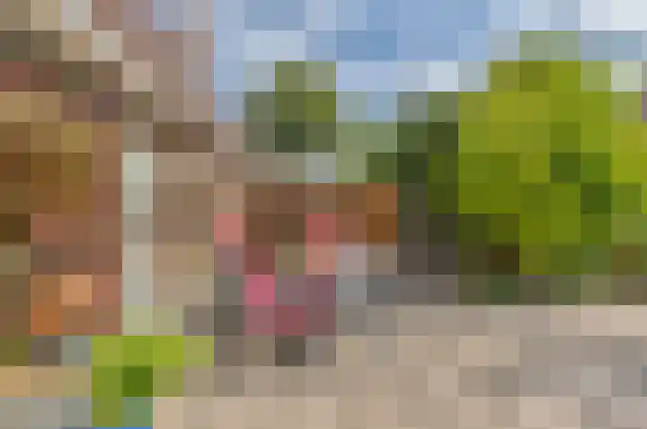 Gedserpad 36 Rotterdam thumbnail 14