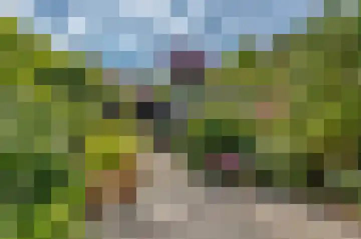 Gedserpad 36 Rotterdam thumbnail 15
