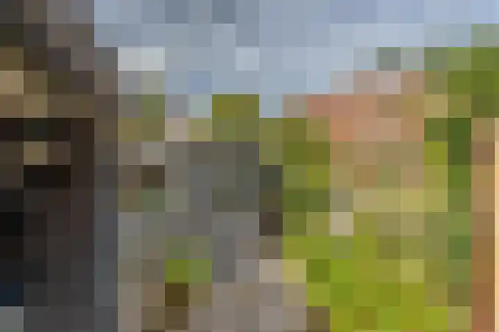 Gedserpad 36 Rotterdam thumbnail 16