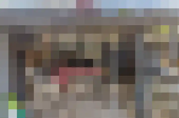 Gedserpad 36 Rotterdam thumbnail 17