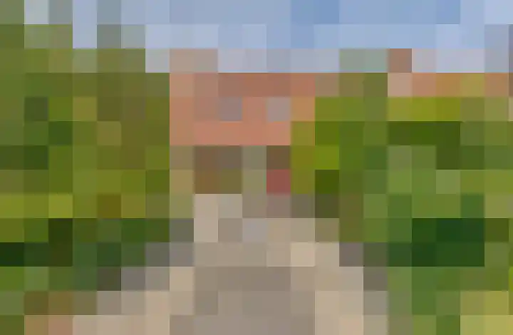 Gedserpad 36 Rotterdam thumbnail 18
