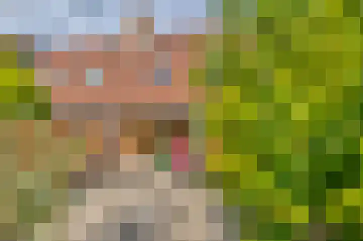 Gedserpad 36 Rotterdam thumbnail 19