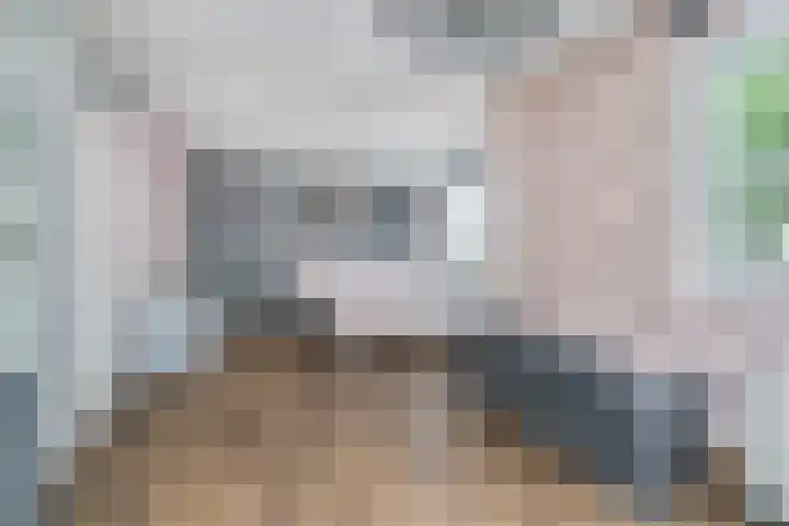 Gedserpad 36 Rotterdam thumbnail 22