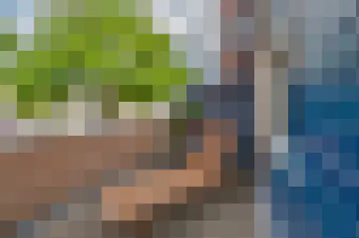 Gedserpad 36 Rotterdam thumbnail 23