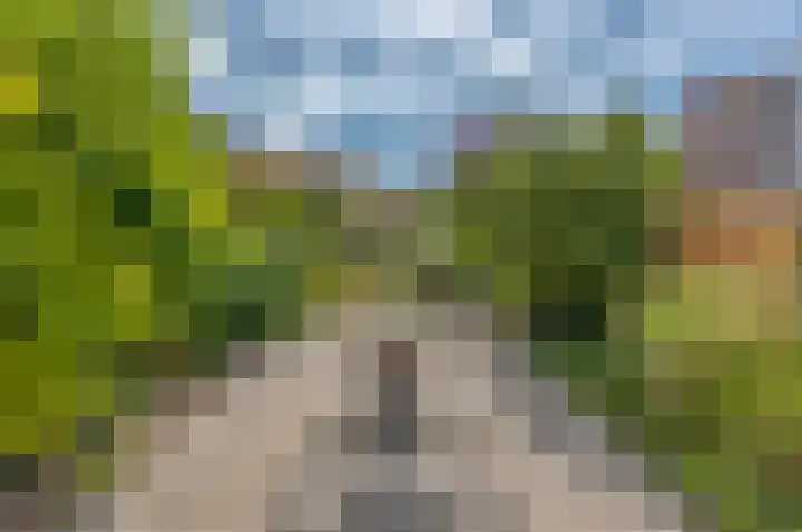 Gedserpad 36 Rotterdam thumbnail 4