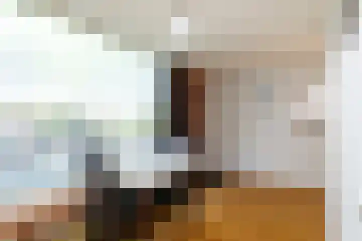 Geefhuishof 1 Tilburg thumbnail 17