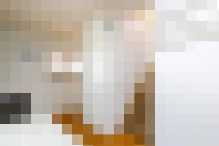 Geefhuishof 1 Tilburg thumbnail 18