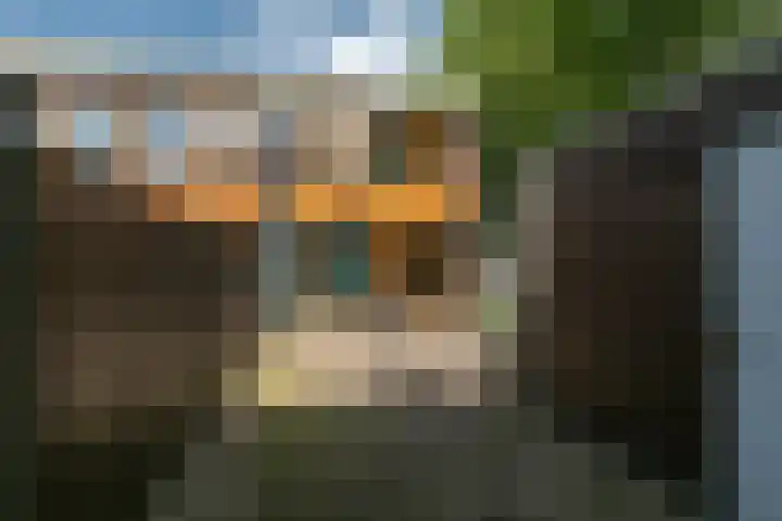 Geefhuishof 1 Tilburg thumbnail 34
